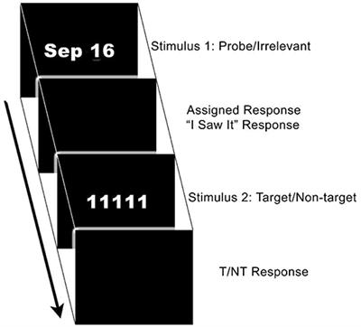 Financial Incentive Does Not Affect P300 in the Complex Trial Protocol (CTP) Version of the Concealed Information Test (CIT) in Malingering Detection. II. Uninstructed Subjects